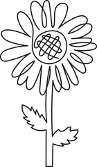 daisy flower floral minimal outline art