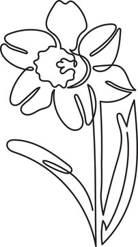 recommend clip art: daffodil flower floral minimal outline art