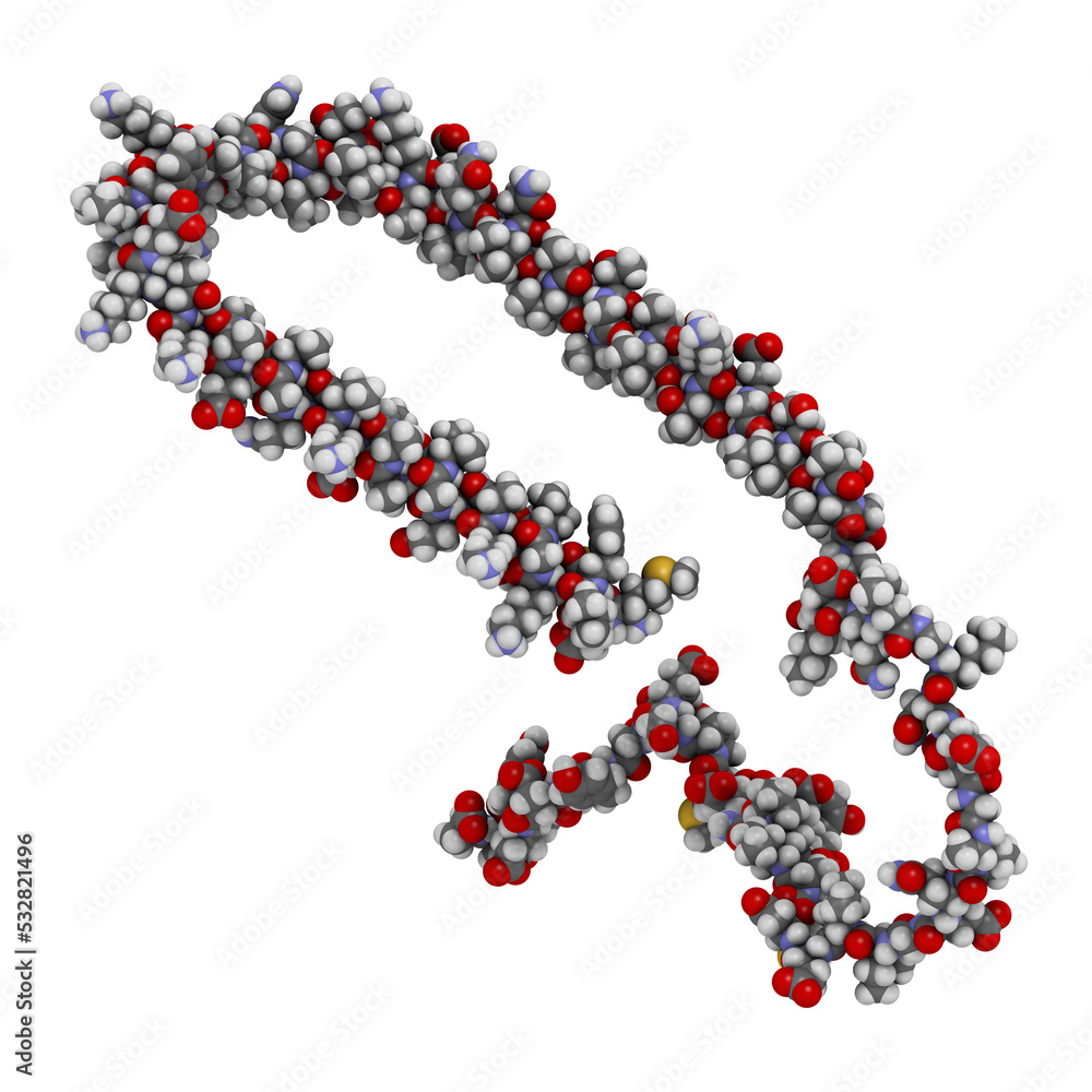 Canvas Prints Alpha-synuclein protein. May play role in Parkinson's and Alzheimer's disease.