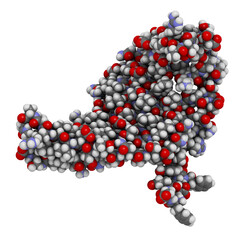 Silk fibroin fragment (N-terminal domain). Fibroin is one of the two main components of silk, produced by the silkworm (Bombyx mori).