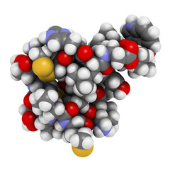 Endothelin 1 (ET-1) vasoconstrictory peptide molecule.