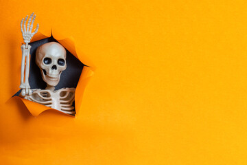 Happy Halloween. Cute little toy Skeleton waves a bony hand through a torn paper hole on a bright orange background, copy space, Minimalism