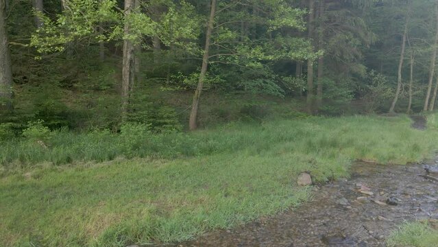 Drohneflug - Aufstieg - Bach - Tal- Wald