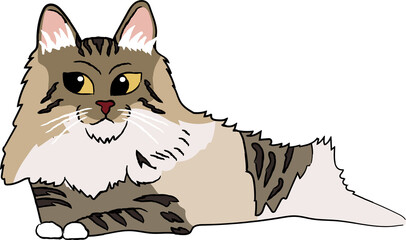 domestic long hair cat breed clipart animal cartoon
