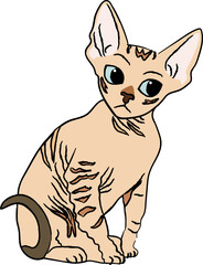 devox rex cat breed clipart animal cartoon