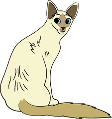 javanese cat breed clipart animal cartoon