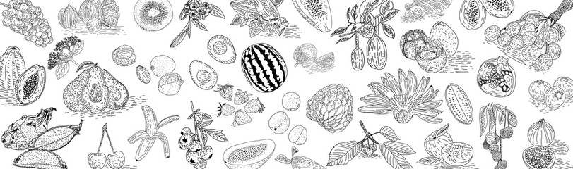 Obraz premium Hand drawn Fruit. Suitable for websites, Social media and layouts, Stickers, Banners, Art and collages, General use cases. png.