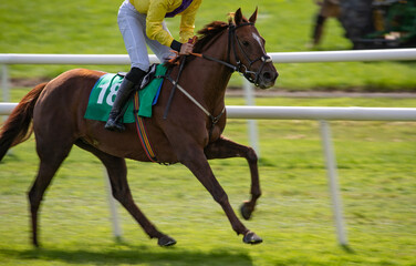 Race horse and jockey panning motion blur effect .