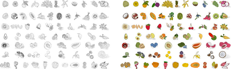 Hand drawn Fruit. Suitable for websites, Social media and layouts, Stickers, Banners, Art and collages, General use cases. png.