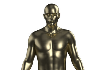 3D illustration of a male gold torso on a white background. metal mannequin.