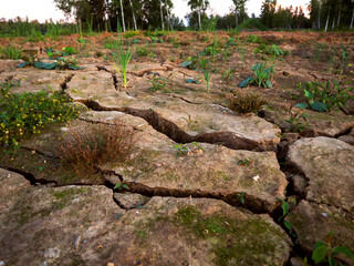 An image of cracked, dry earth. A bad harvest, a drought. Abstract natural background.