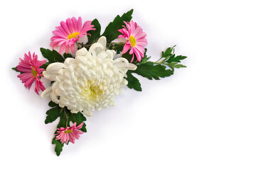 Obraz na płótnie Canvas Bouquet of flowers white and pink chrysanthemums morifolium on a white background with space for text
