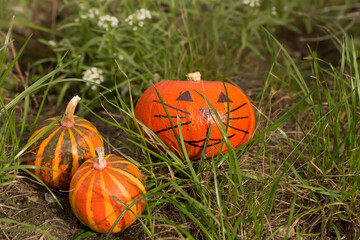 Funny Halloween pumpkins