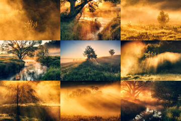 Collage of spring landscapes. collection of photos with morning sunshine