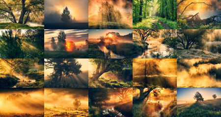 Collage of spring landscapes. collection of photos with morning sunshine