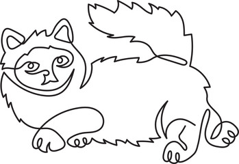 birman cat breeds animal pet minimal outline art