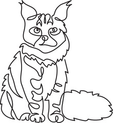 Fototapeta na wymiar maine coon cat breeds animal pet minimal outline art