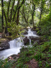 Fototapeta premium Cascada en la Reserva forestal de la Yeguada