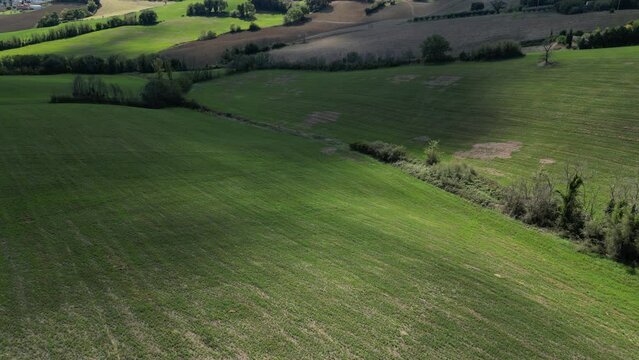 Verdi colline con cielo nuvoloso, con una piccola strada che li costeggia