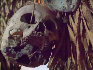 human skull from a headhunters trophy