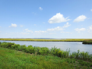 Scenic view of the wetland landscape within the Bombay Hook National Wildlife Refuge, Kent County, Smyrna, Delaware.