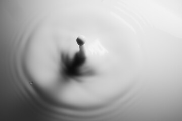 Closeup of drop of milk falling into milk bath