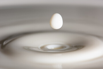 Closeup of drop of milk falling into milk bath