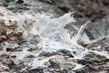 Asbestos vein sinuosity in its natural geological environment and asbestos fibers, chrysotile and...
