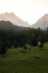 dolomite valley shrouded in afternoon light