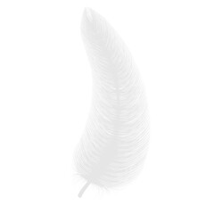 fluffy feather with shadow  realistic set isolated on transparent background.