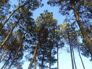 Nice summer view from Varna in Bulgaria 