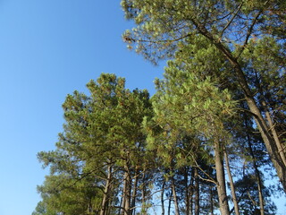 Nice summer view from Varna in Bulgaria 