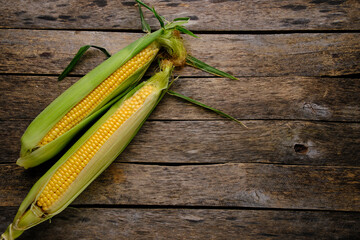 Two ripe ears corn wooden background.