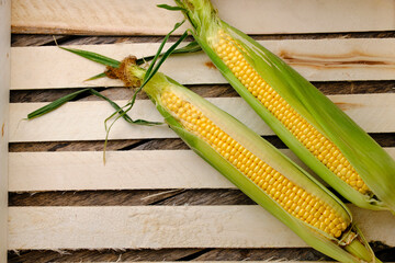 Two ripe ears corn wooden background.