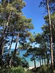 Nice summer view from Varna in Bulgaria 