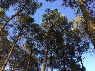 Nice summer view from Varna in Bulgaria 