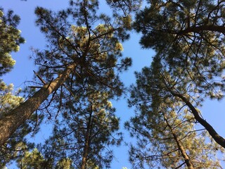 Nice summer view from Varna in Bulgaria 