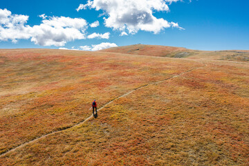 Unrecognizable hiker on a trail in the dry blueberry meadow with white clouds and blue sky - the top is the aim - wallpaper