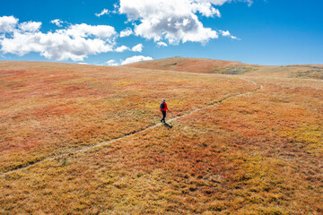 Unrecognizable hiker on a trail in the dry blueberry meadow with white clouds and blue sky - path to success - wallpaper