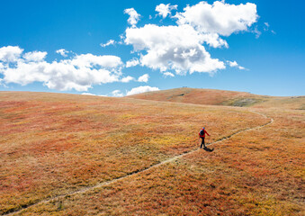 Unrecognizable hiker on a trail in the dry blueberry meadow with white clouds and blue sky - path to heaven - wallpaper