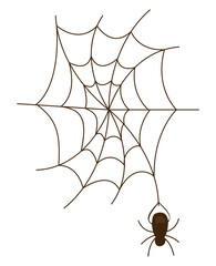 halloween spider animal