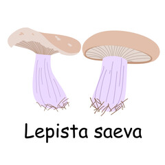 A flat vector of an edible mushroom isolated on a white background. Flat illustration graphic icon