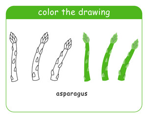 Coloring book for children. Asparagus in color and black and white. Vector illustration.