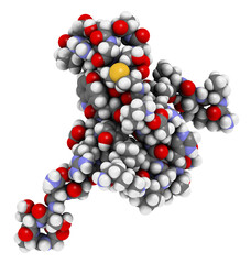 Tau protein fragment. May play a role in Alzheimer's disease.