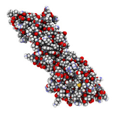 Programmed death-ligand 1 (PD-L1) protein. Produced by tumor to suppress the immune system. Blockers of the PD-L1 and PD-1 interaction are an important new anticancer drug class.