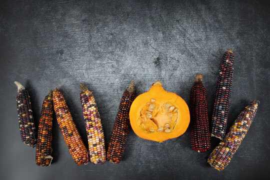 Lots of colorful corn on the cob and half a pumpkin lie next to each other. The background is grey. The pumpkin is cut open.