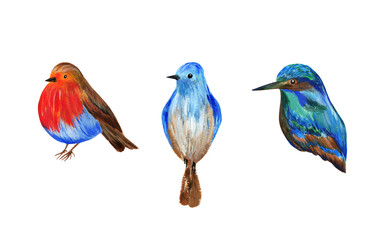 Set of winter birds.Watercolor illustration.