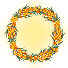 Sea buckthorn, round frame. Watercolor illustration. For cosmetology, pharmaceuticals, food industry.