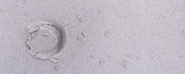 The footprint of a hoof in the sand