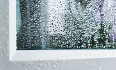 Raindrops on the window